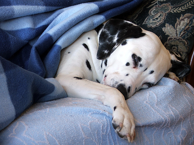 kliknum na obrzek zavete okno